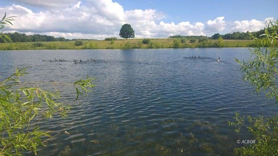 19.3 Acres of Recreational & Residential Land for Sale in Albany, Ohio