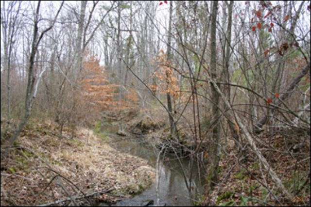 30 Acres of Recreational Land for Sale in Halifax, Virginia