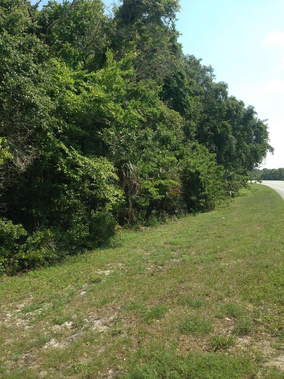 125.61 Acres of Land for Sale in Titusville, Florida