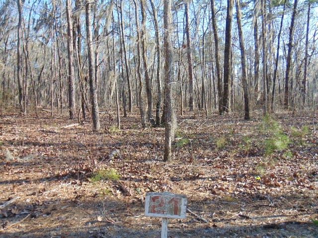 0.48 Acres of Residential Land for Sale in Elloree, South Carolina