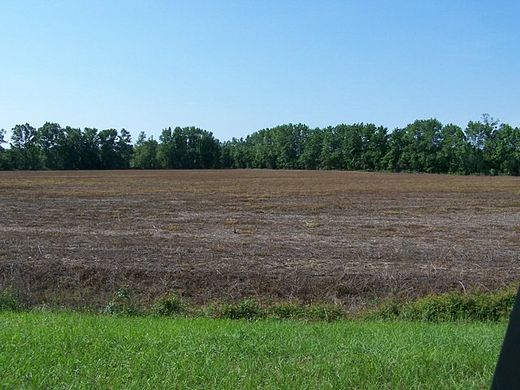 23 Acres of Land for Sale in Santee, South Carolina