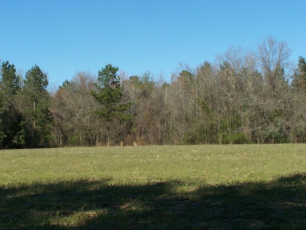 223 Acres of Agricultural Land for Sale in Santee, South Carolina
