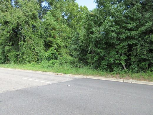 9 Acres of Residential Land for Sale in Sumter, South Carolina - LandSearch