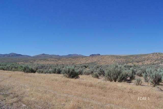 315 Acres of Agricultural Land for Sale in Elko, Nevada