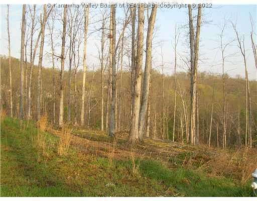0.52 Acres of Residential Land for Sale in Elkview, West Virginia