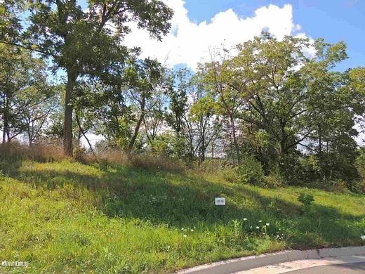 0.49 Acres of Residential Land for Sale in Galena, Illinois