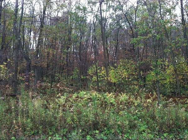0.67 Acres of Residential Land for Sale in Shippenville, Pennsylvania