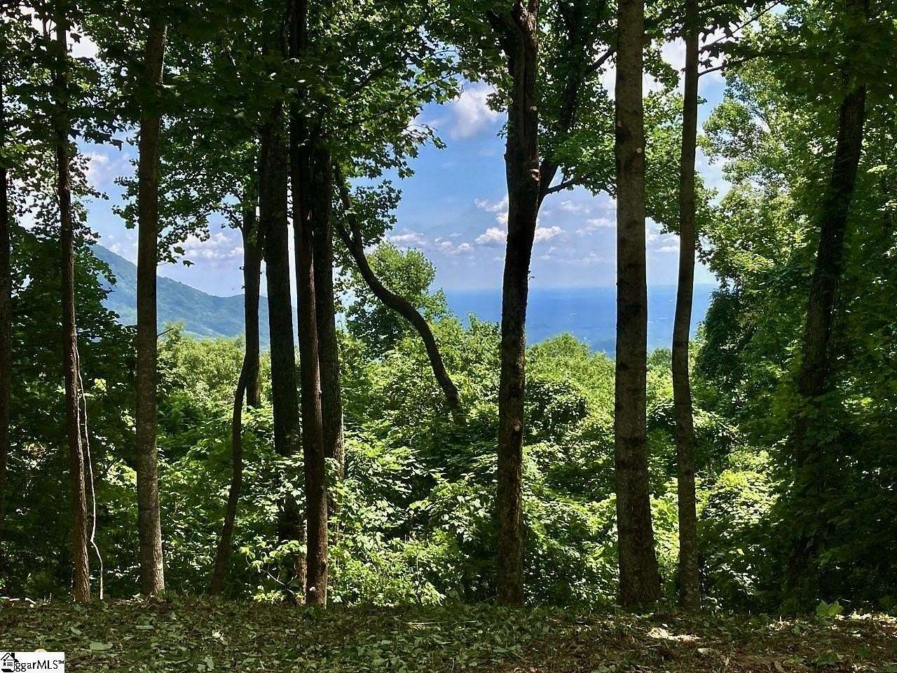 1.5 Acres of Residential Land for Sale in Landrum, South Carolina