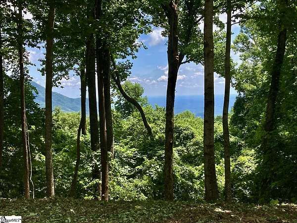 1.5 Acres of Residential Land for Sale in Landrum, South Carolina