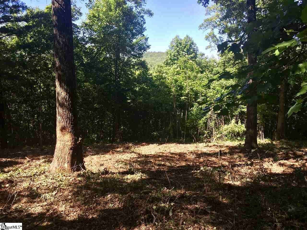 0.7 Acres of Residential Land for Sale in Landrum, South Carolina