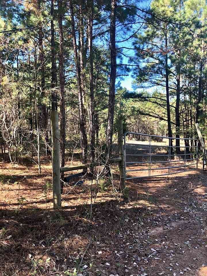 33.8 Acres of Recreational Land for Sale in Winona, Texas