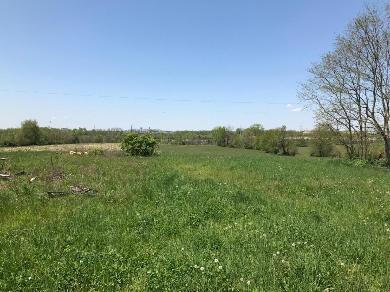 20 Acres of Land for Sale in Georgetown, Kentucky