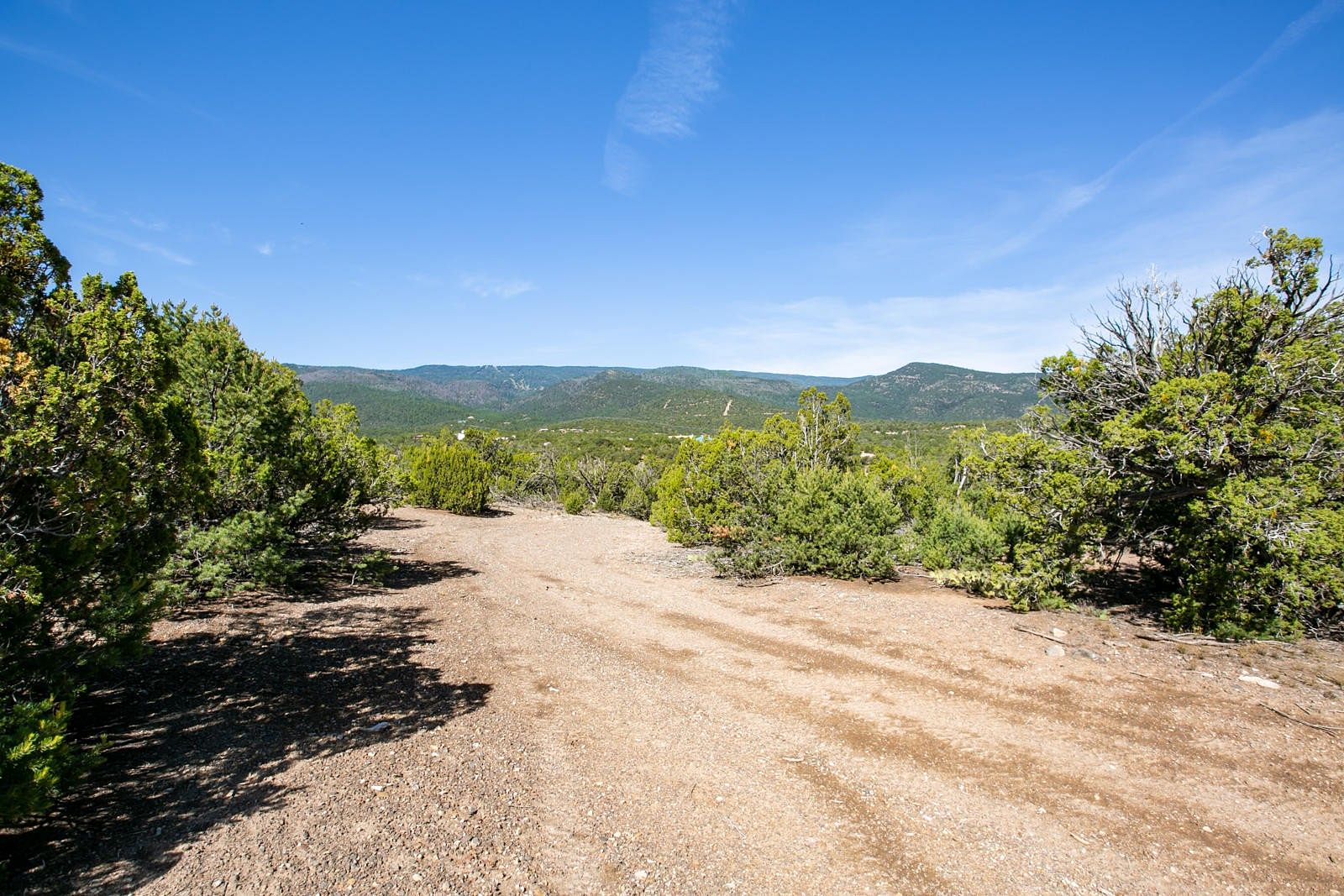 24.2 Acres of Land for Sale in Sandia Park, New Mexico