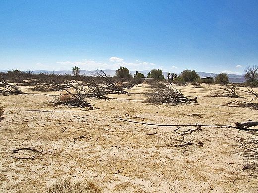 29.1 Acres of Land for Sale in Newberry Springs, California