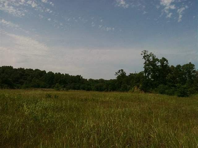 37.5 Acres of Land for Sale in Natchez, Mississippi