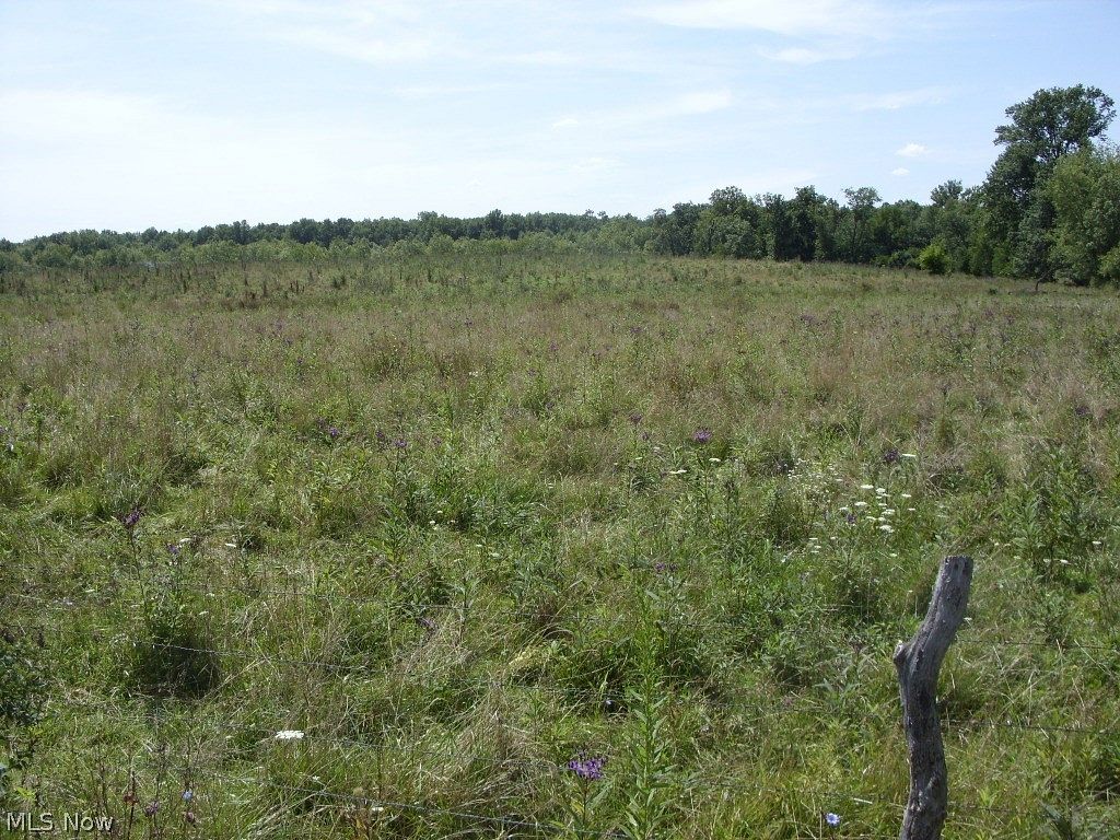 51.4 Acres of Land for Sale in Senecaville, Ohio