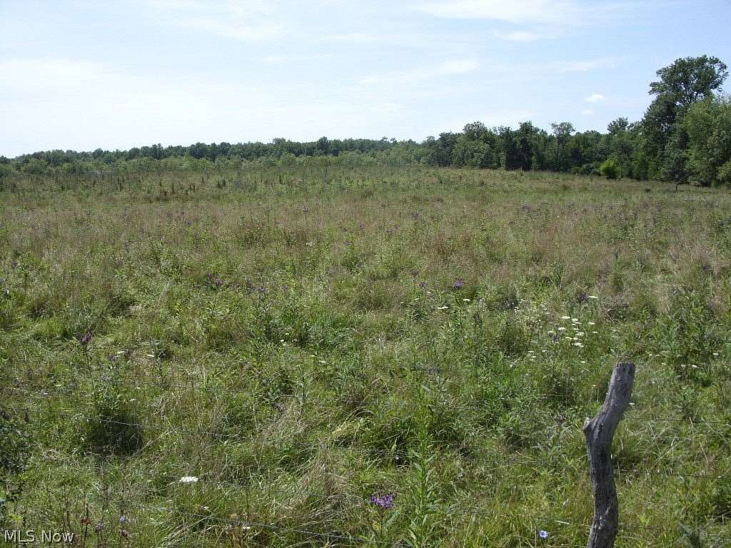 51.4 Acres of Land for Sale in Senecaville, Ohio