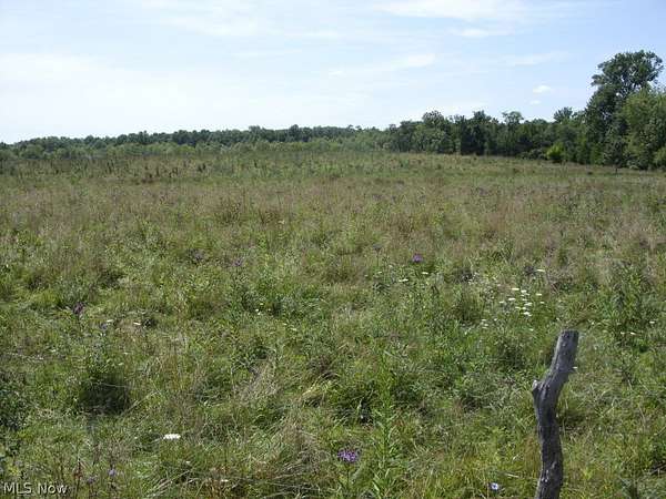 51.4 Acres of Land for Sale in Senecaville, Ohio