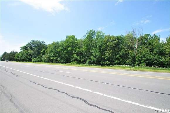 5.2 Acres of Commercial Land for Sale in Evans Town, New York