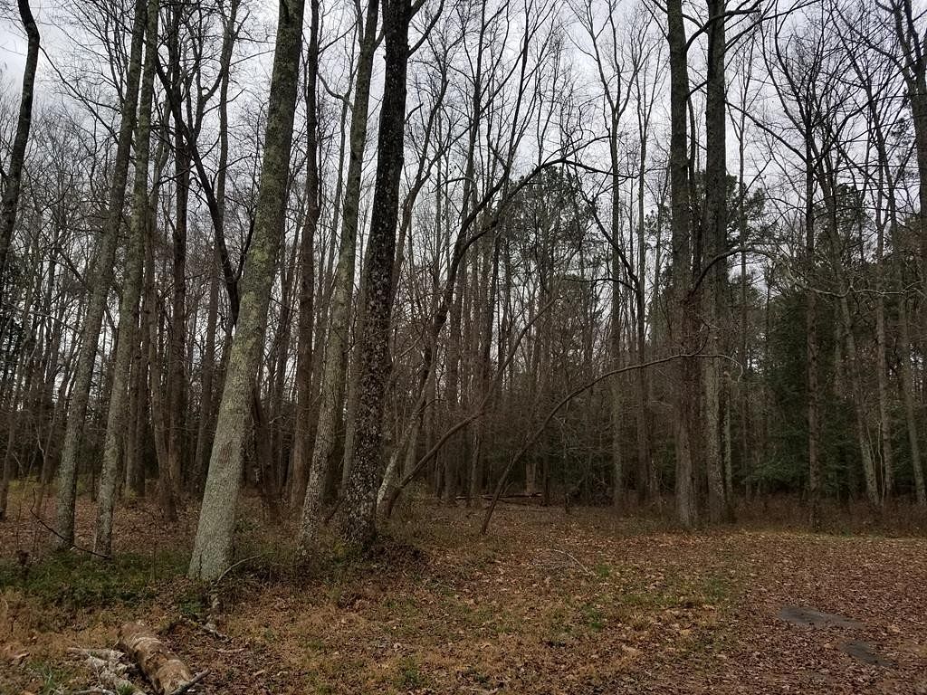 0.47 Acres of Residential Land for Sale in Roanoke Rapids, North Carolina