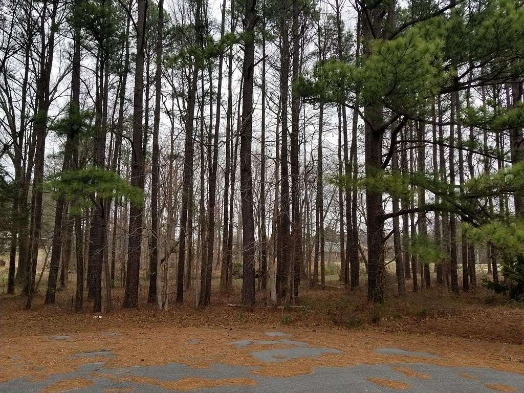0.3 Acres of Residential Land for Sale in Roanoke Rapids, North Carolina