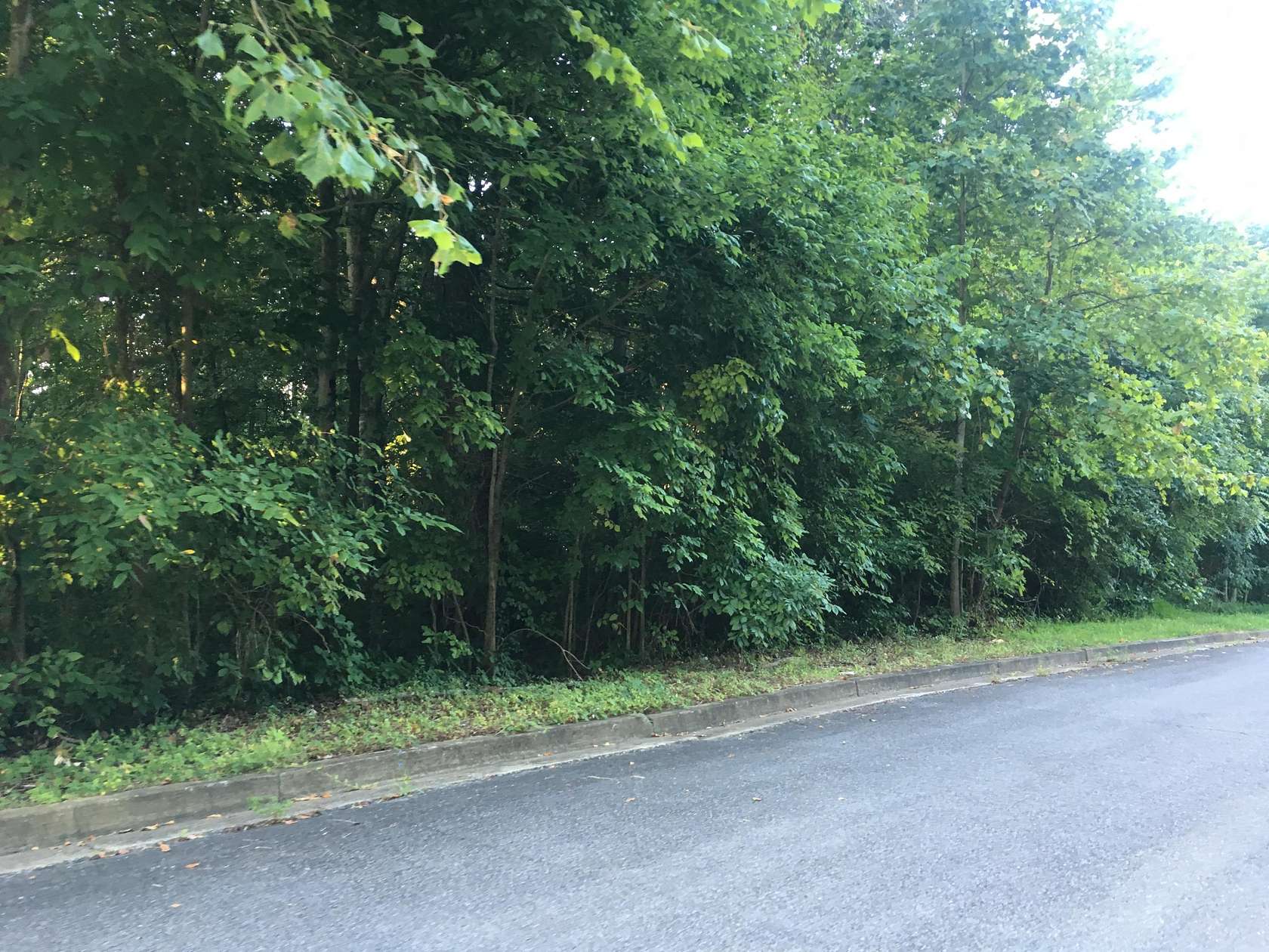 2.8 Acres of Residential Land for Sale in Johnson City, Tennessee