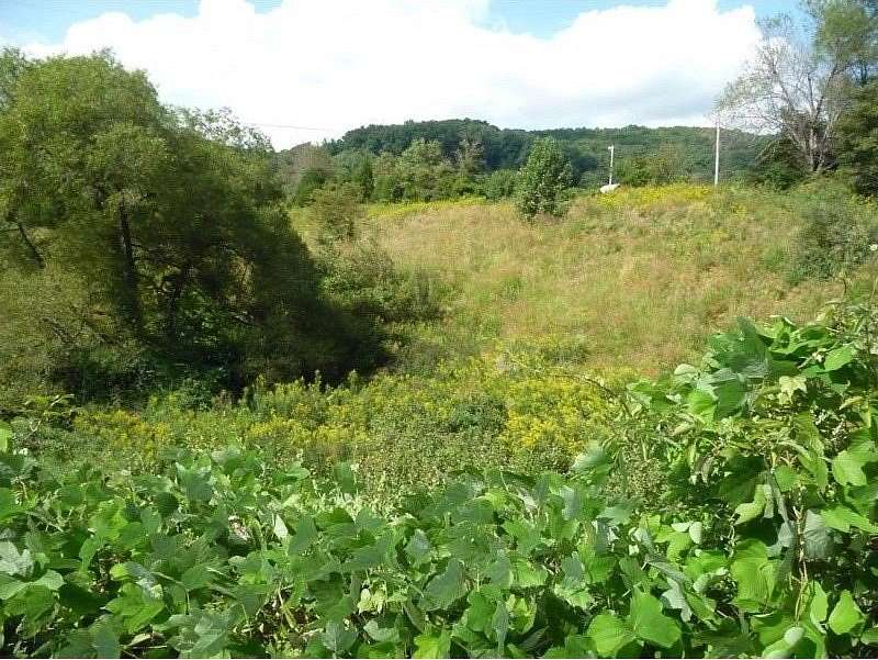 5.42 Acres of Residential Land for Sale in Gate City, Virginia