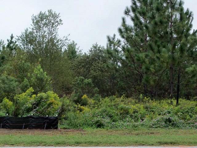 1.7 Acres of Commercial Land for Sale in Donalsonville, Georgia