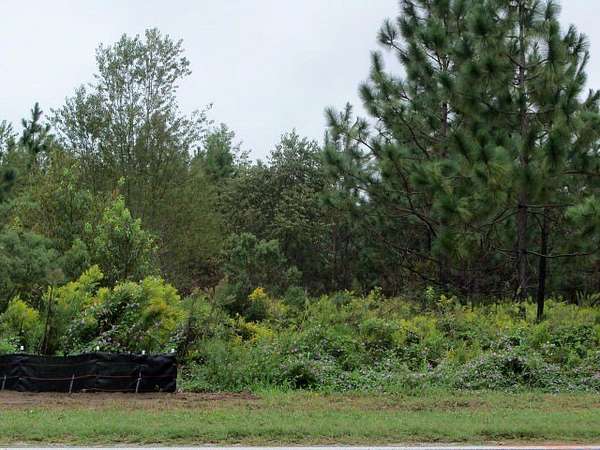 1.7 Acres of Commercial Land for Sale in Donalsonville, Georgia