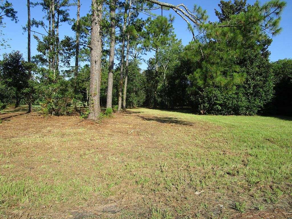 1.2 Acres of Residential Land for Sale in Cairo, Georgia