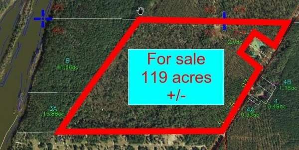 119 Acres of Agricultural & Residential Land for Sale in Bainbridge, Georgia
