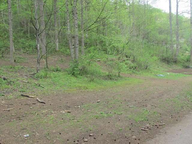 19.7 Acres of Land for Sale in Harold, Kentucky