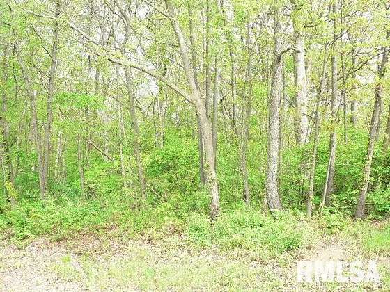 1.2 Acres of Residential Land for Sale in Sparland, Illinois