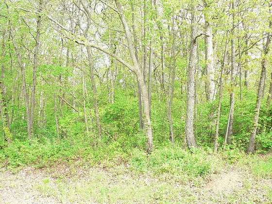 0.63 Acres of Residential Land for Sale in Sparland, Illinois