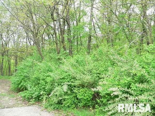 0.4 Acres of Residential Land for Sale in Sparland, Illinois