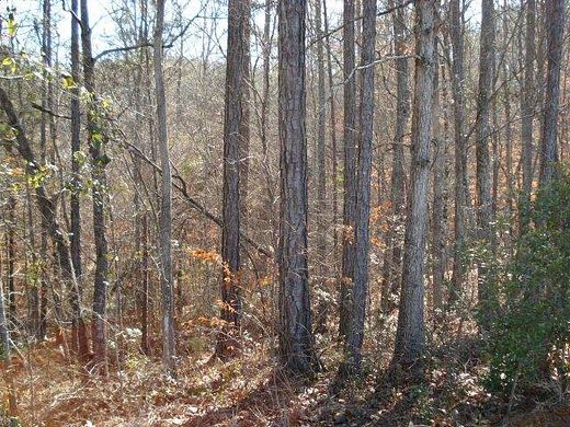 2.4 Acres of Residential Land for Sale in Cataula, Georgia