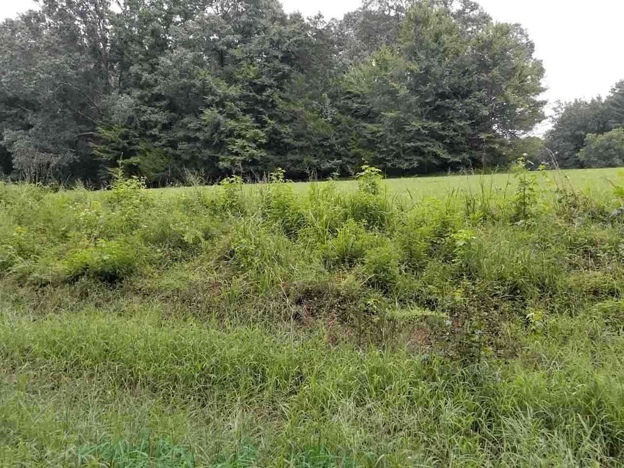 1 Acres of Land for Sale in Jackson, Tennessee