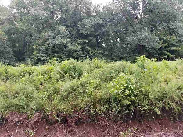 1 Acre of Land for Sale in Jackson, Tennessee