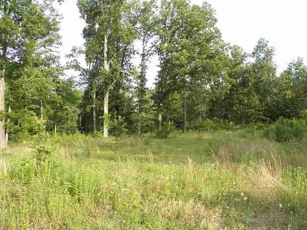 1 Acre of Land for Sale in Benton, Kentucky