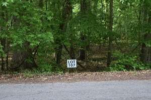 0.43 Acres of Land for Sale in Ten Mile, Tennessee