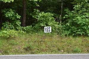 0.67 Acres of Land for Sale in Ten Mile, Tennessee