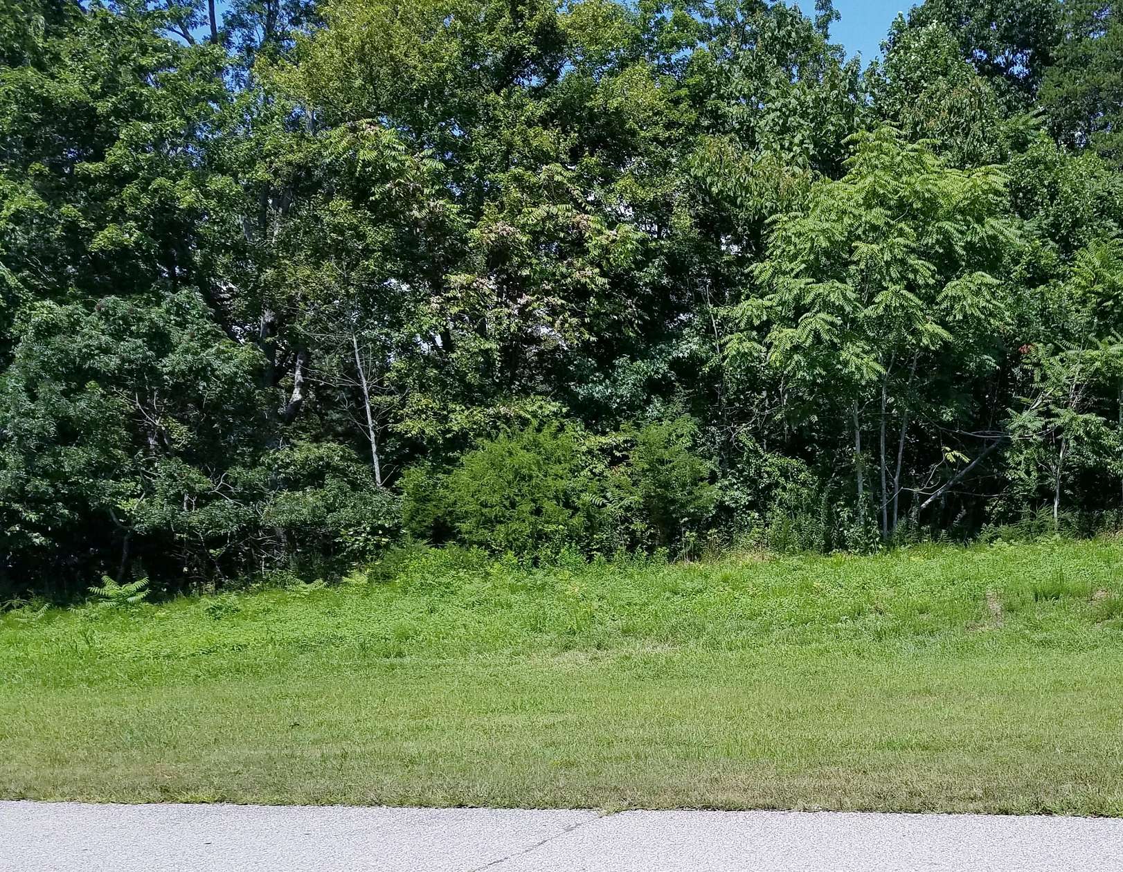 1.2 Acres of Residential Land for Sale in Rockwood, Tennessee