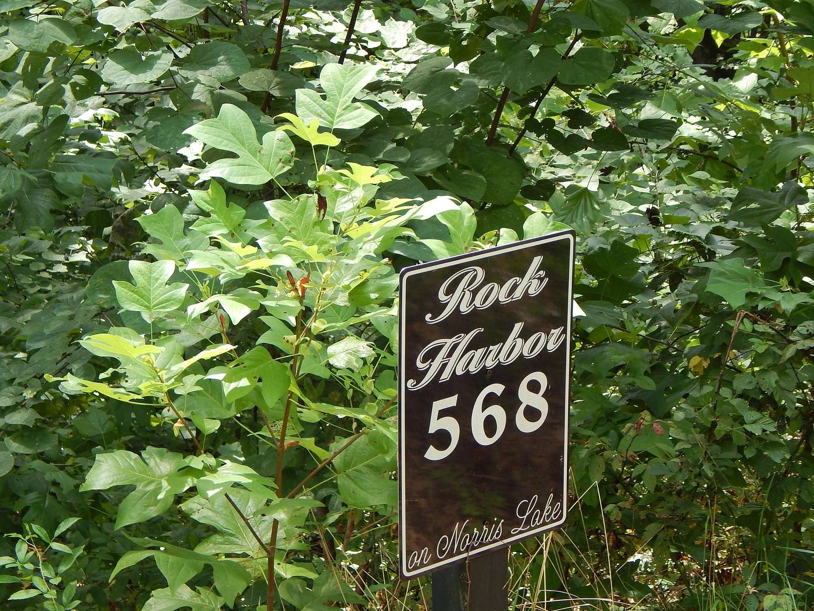 0.89 Acres of Residential Land for Sale in New Tazewell, Tennessee