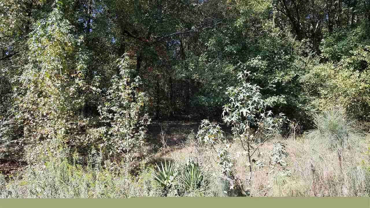 Residential Land for Sale in Moncure, North Carolina