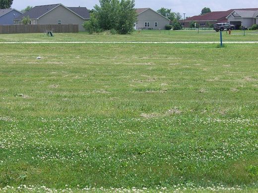 0.32 Acres of Residential Land for Sale in Earlville, Illinois