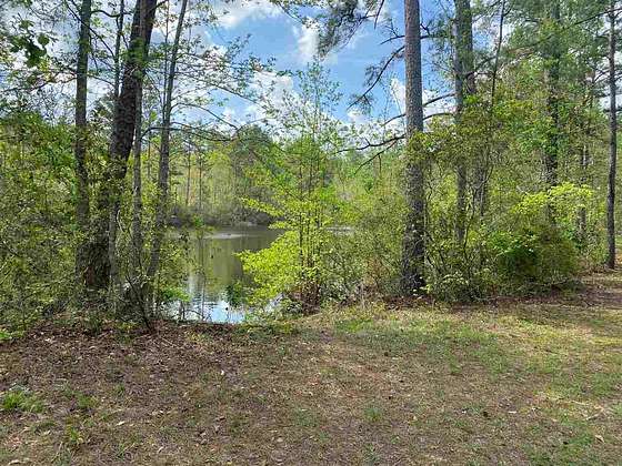 40 Acres of Recreational Land for Sale in Chattahoochee, Florida