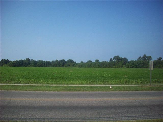 32.1 Acres of Land for Sale in Marion, South Carolina