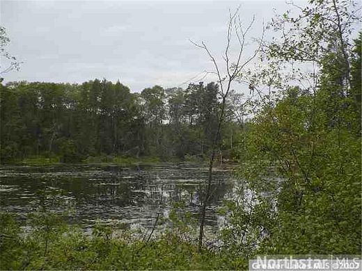 2.6 Acres of Residential Land for Sale in Pillager, Minnesota
