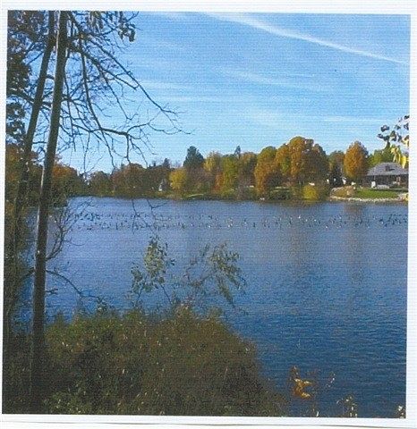 0.45 Acres of Residential Land for Sale in Westfield, Wisconsin