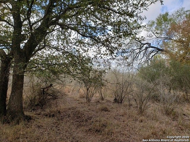 20 Acres of Land for Sale in Devine, Texas